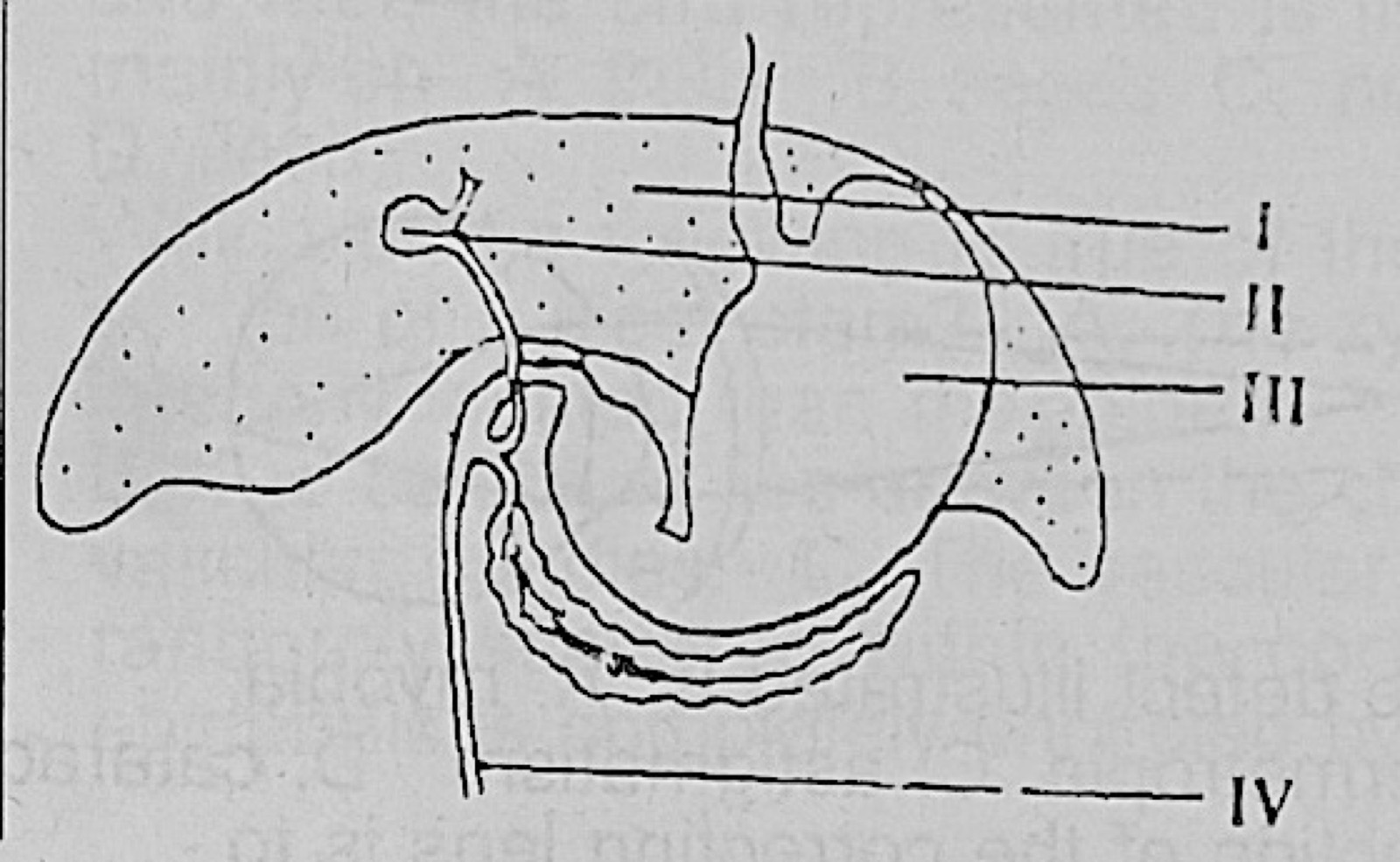 Diagram for this question