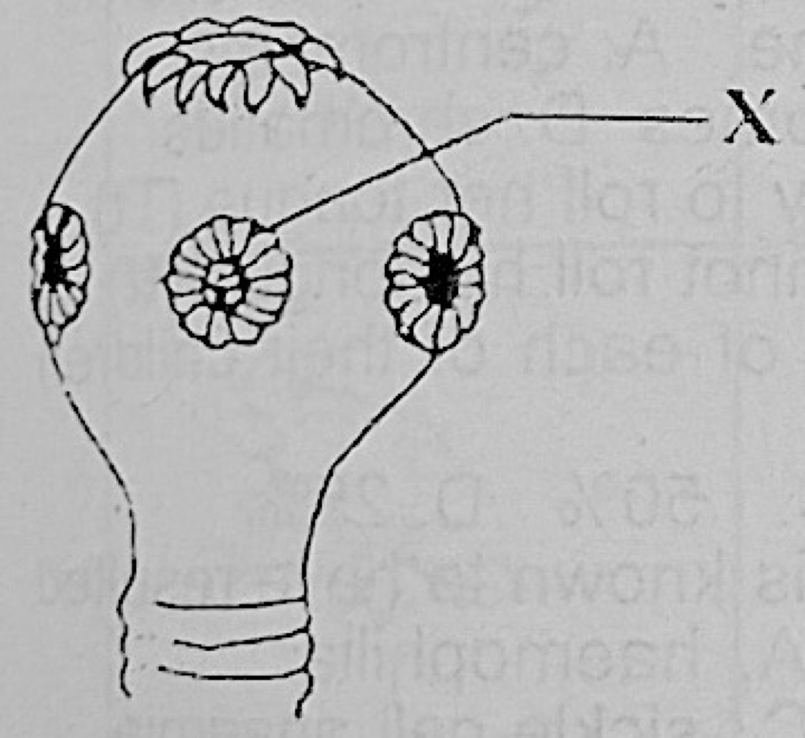Diagram for this question