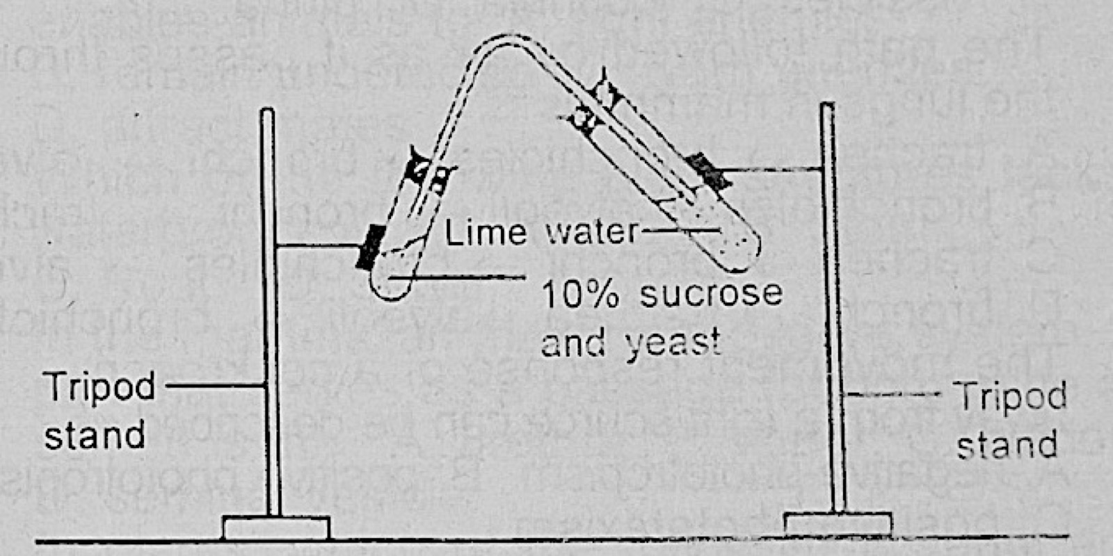 Diagram for this question