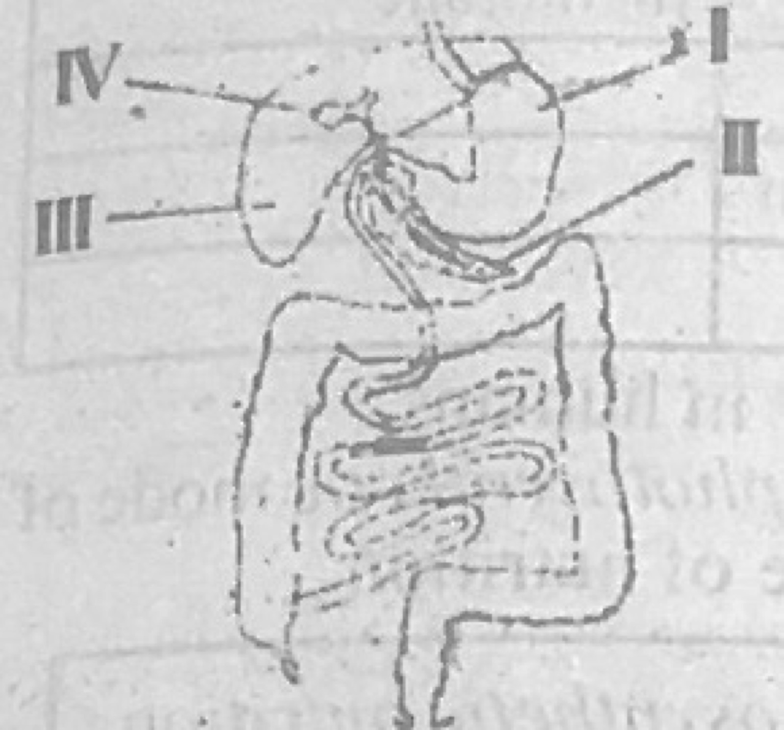 Diagram for this question