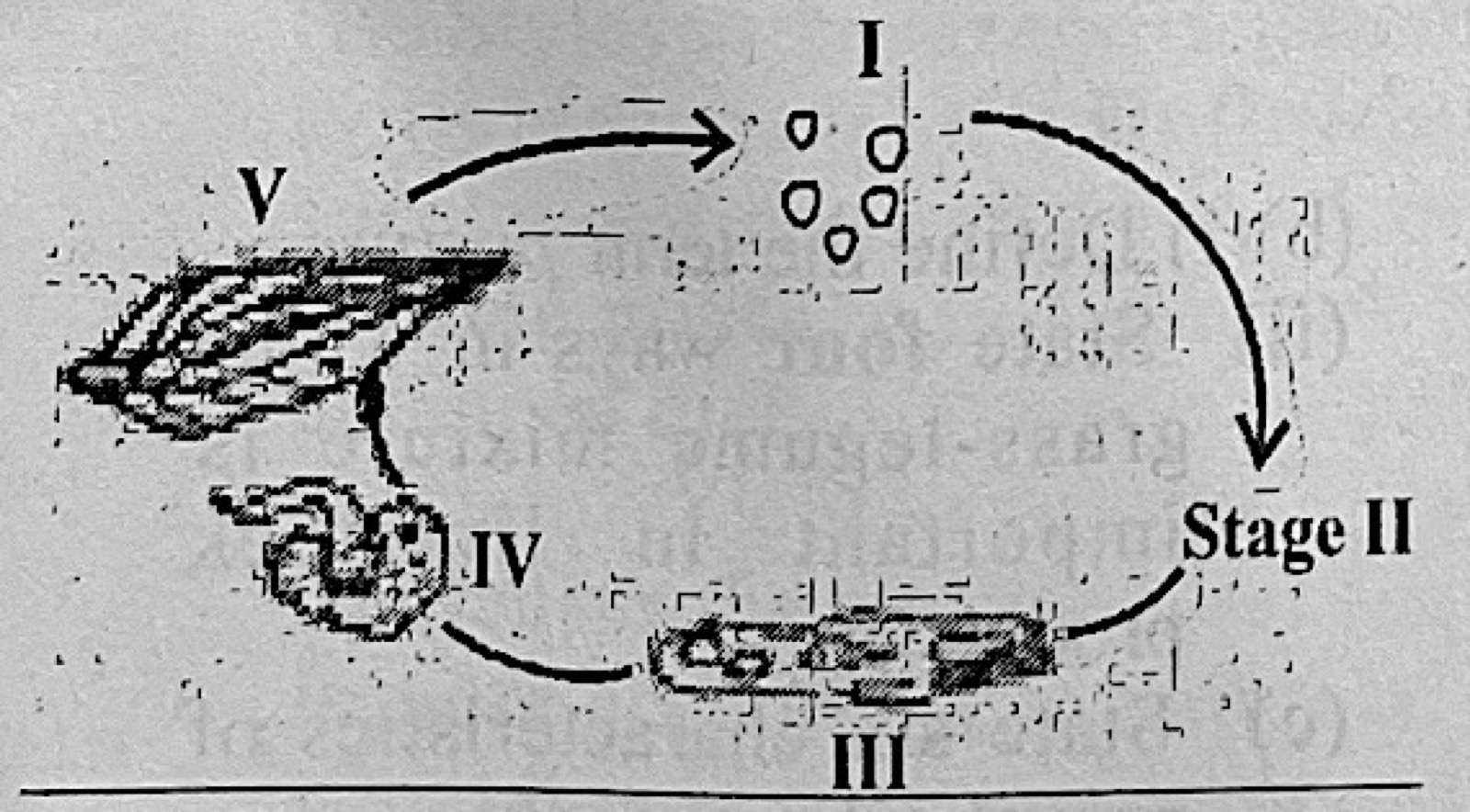 Diagram for this question