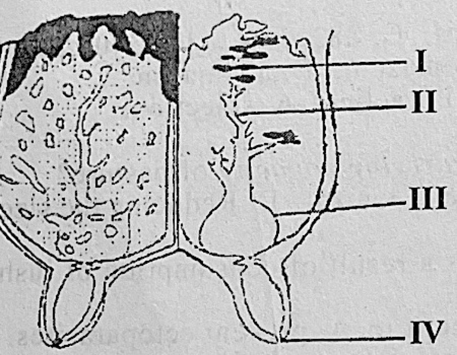 Diagram for this question