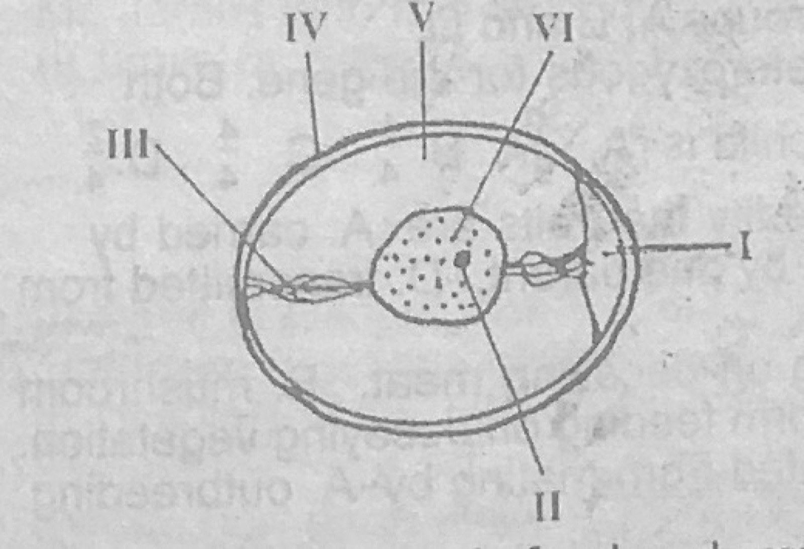Diagram for this question