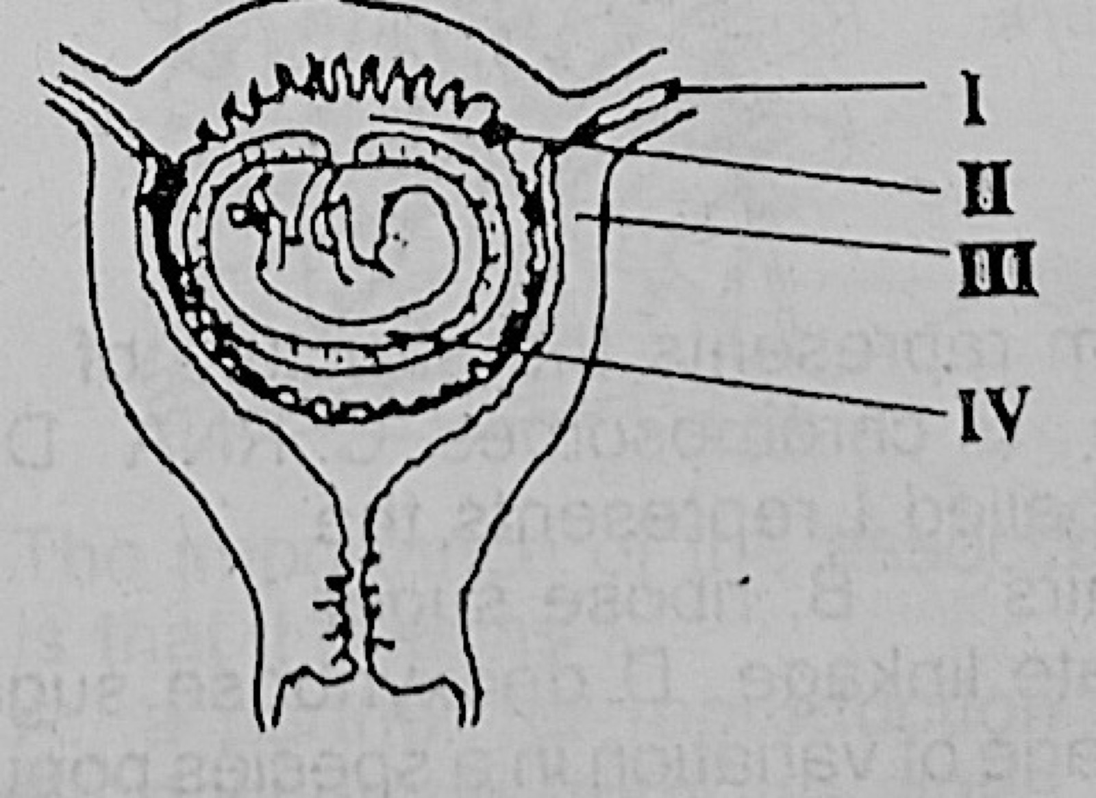 Diagram for this question