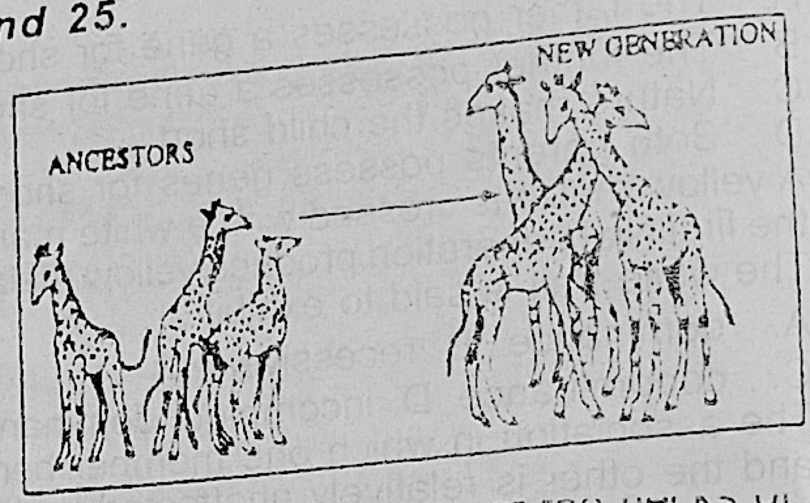 Diagram for this question