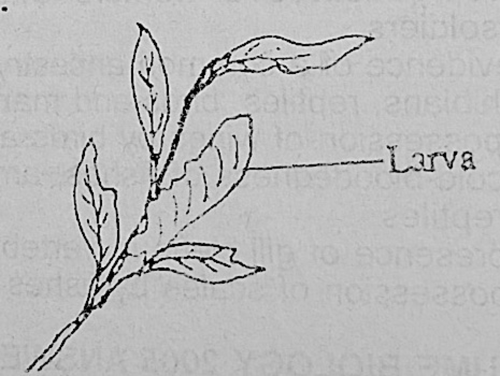 Diagram for this question