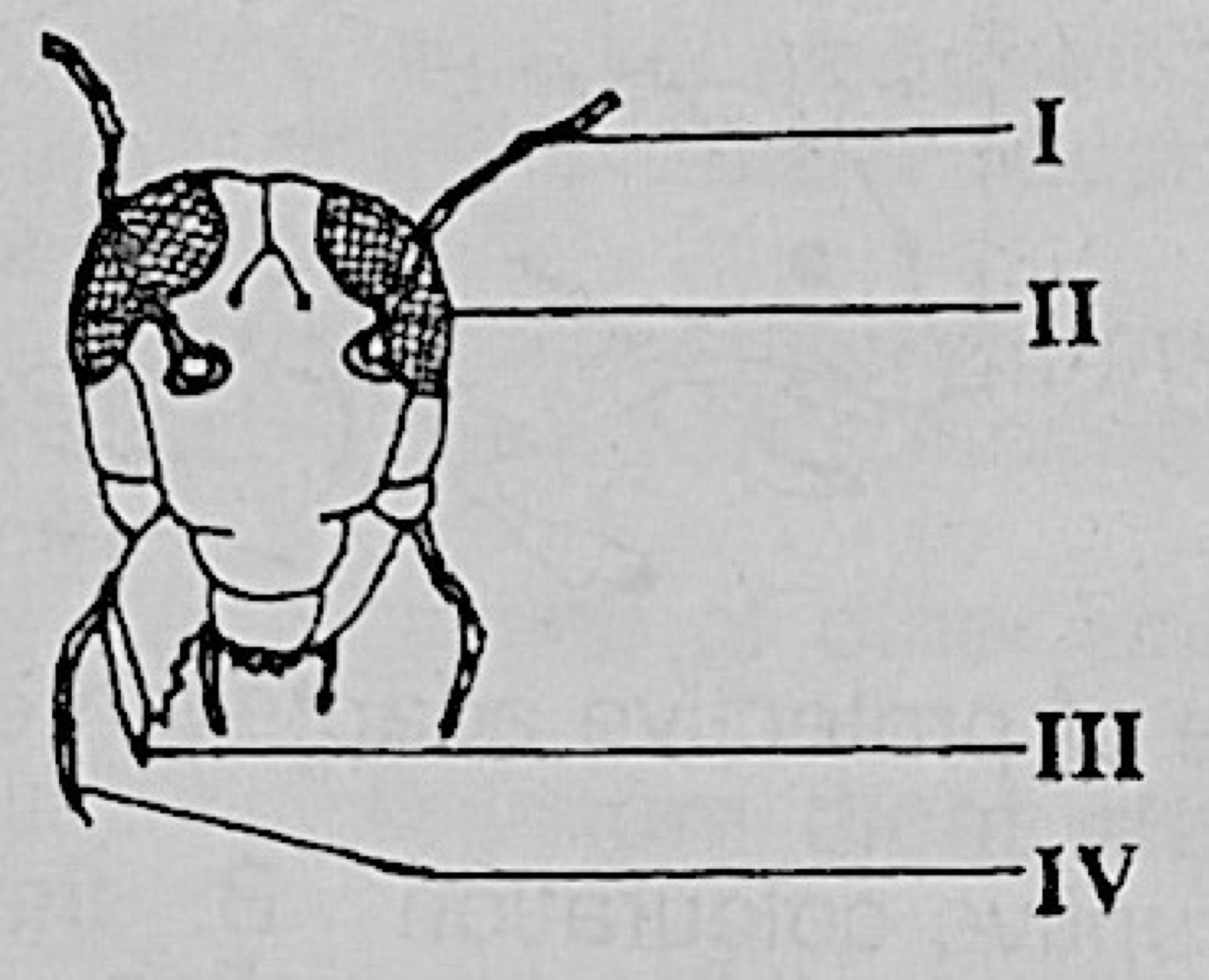 Diagram for this question