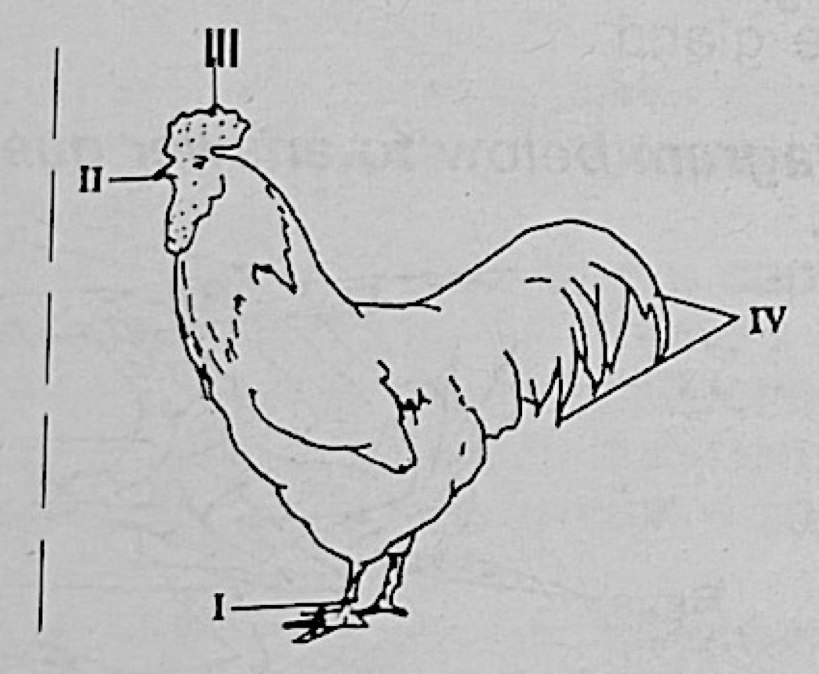 Diagram for this question