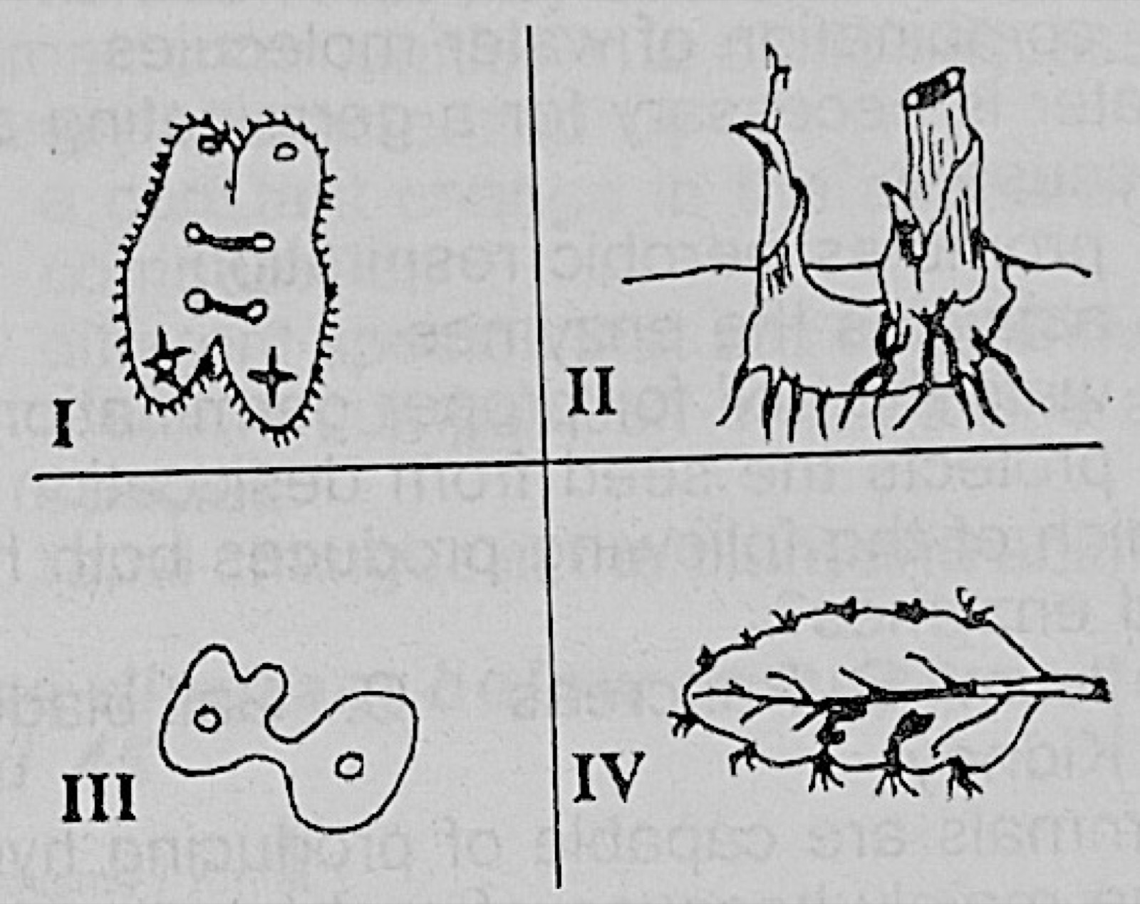 Diagram for this question