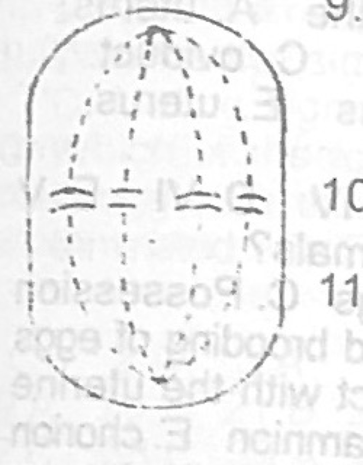 Diagram for this question