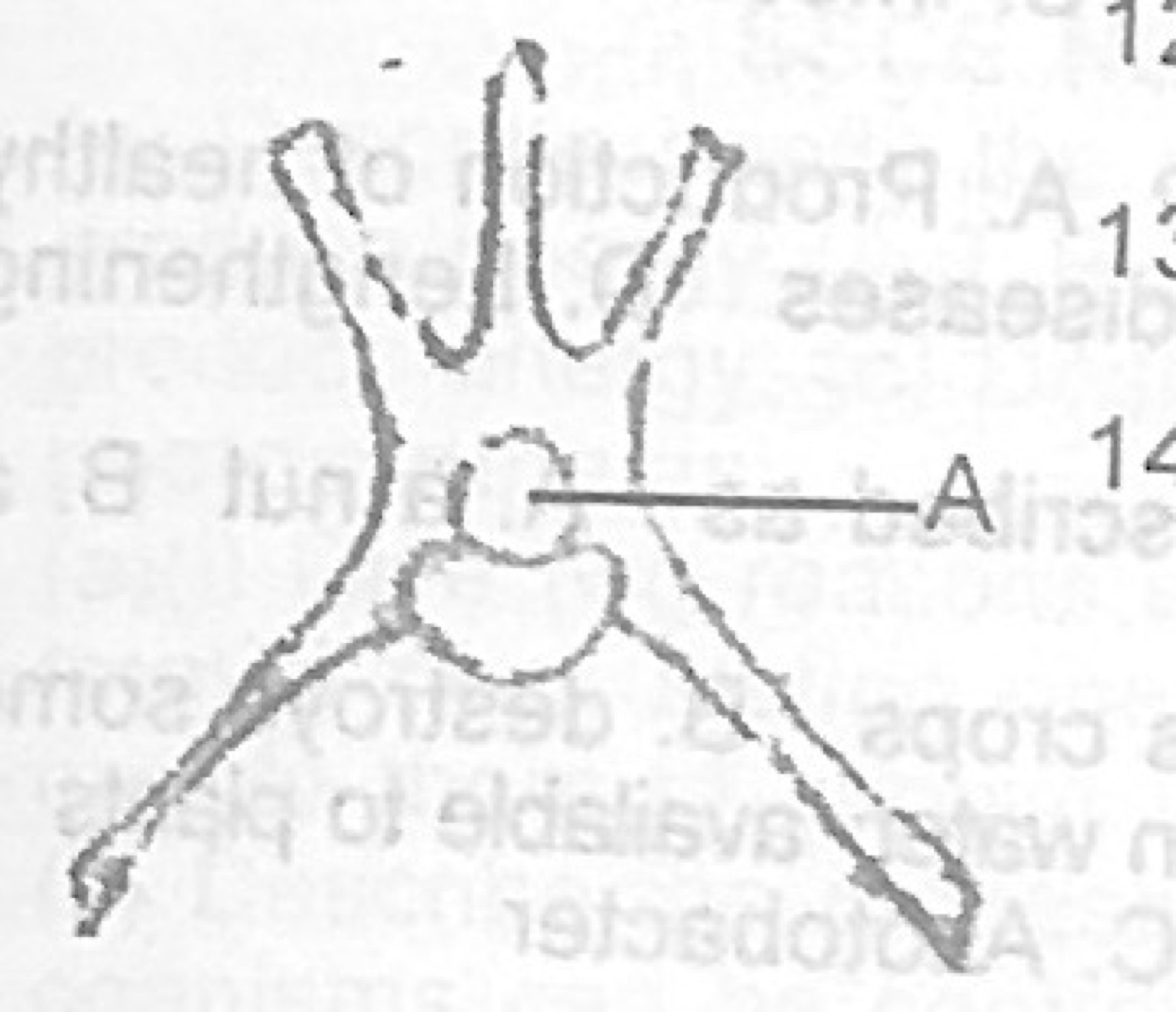 Diagram for this question