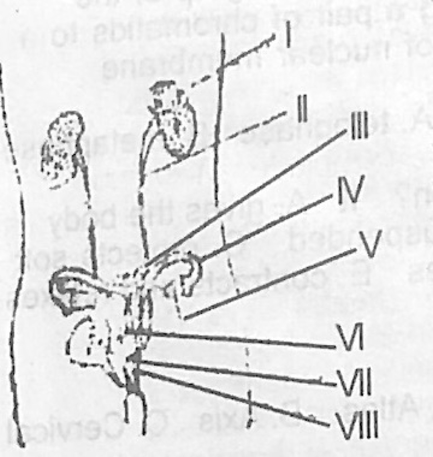 Diagram for this question