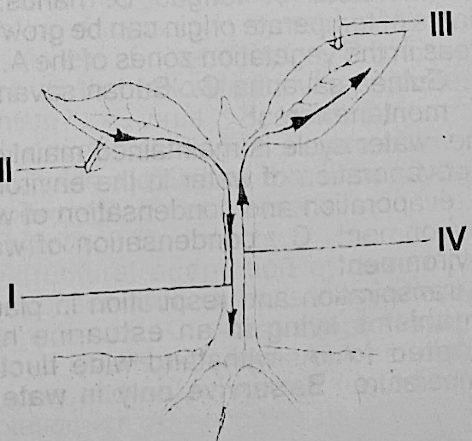 Diagram for this question