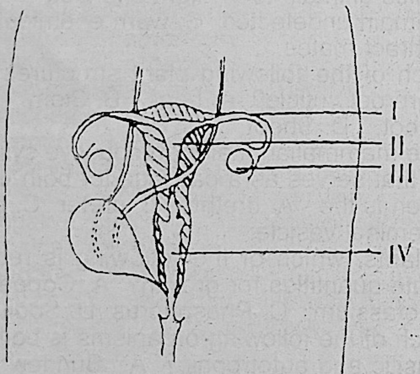 Diagram for this question