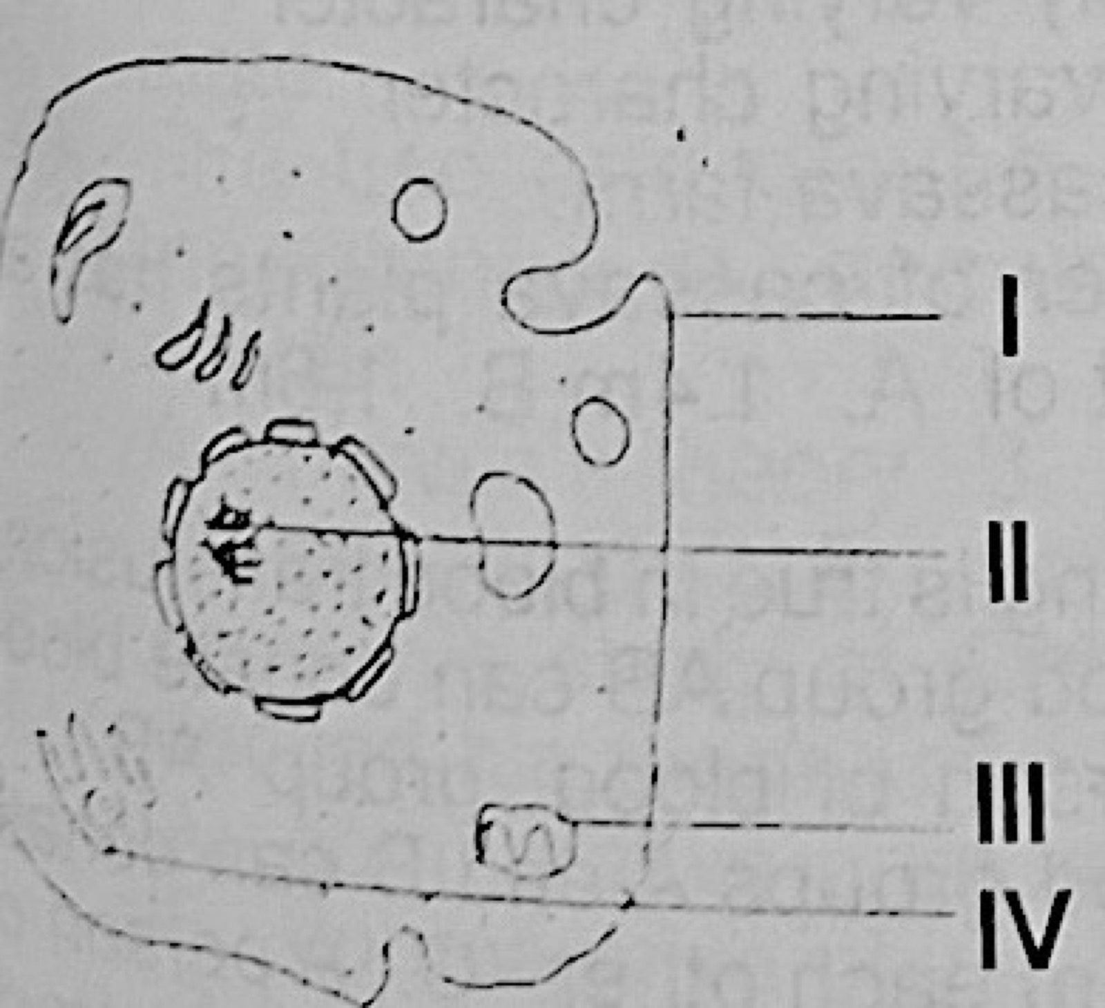 Diagram for this question
