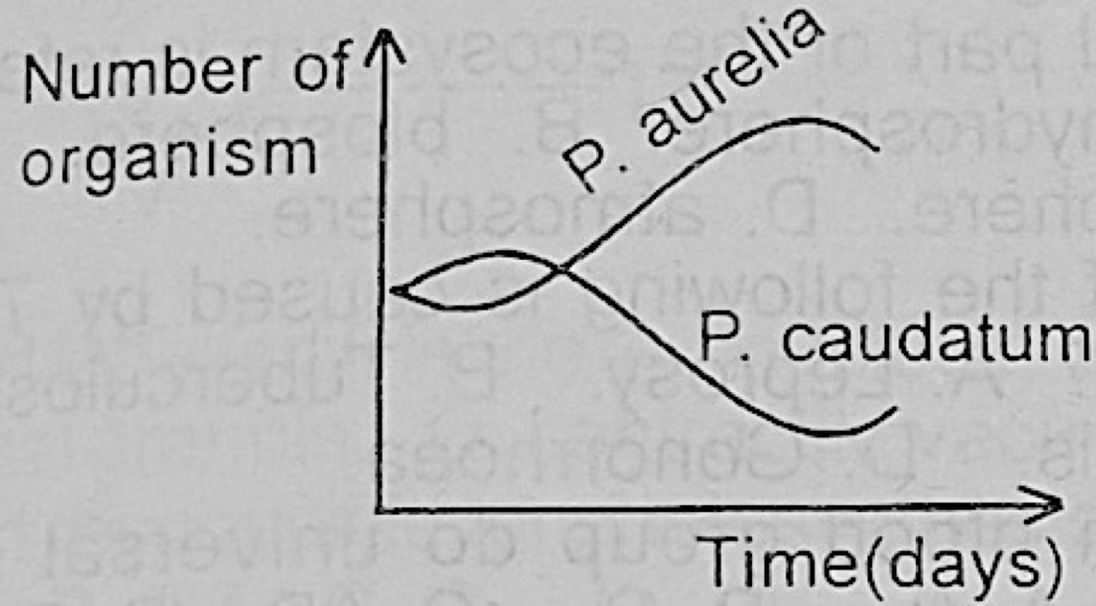 Diagram for this question