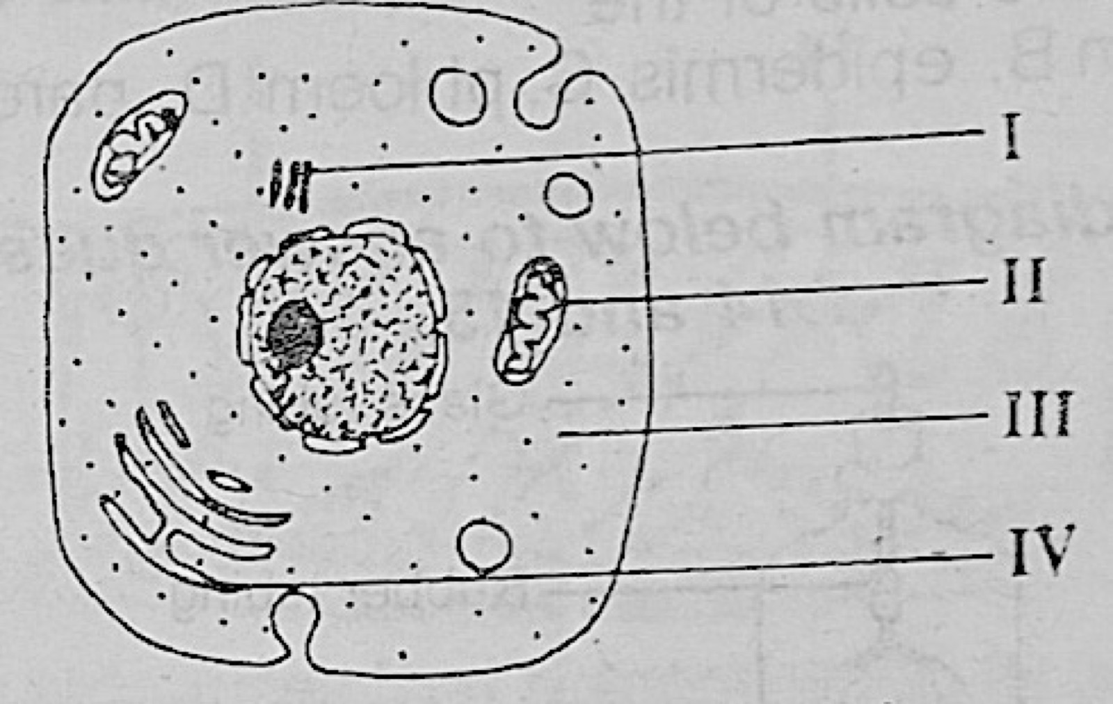 Diagram for this question