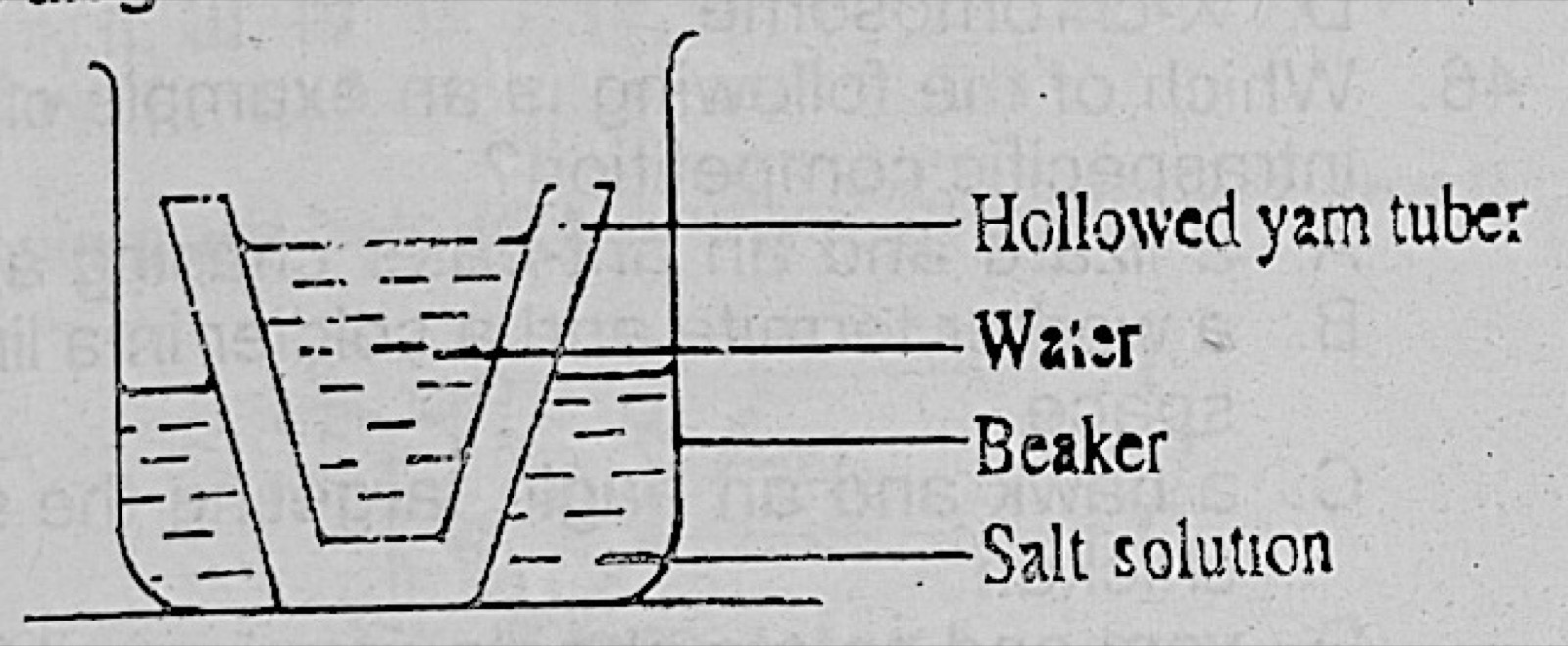 Diagram for this question