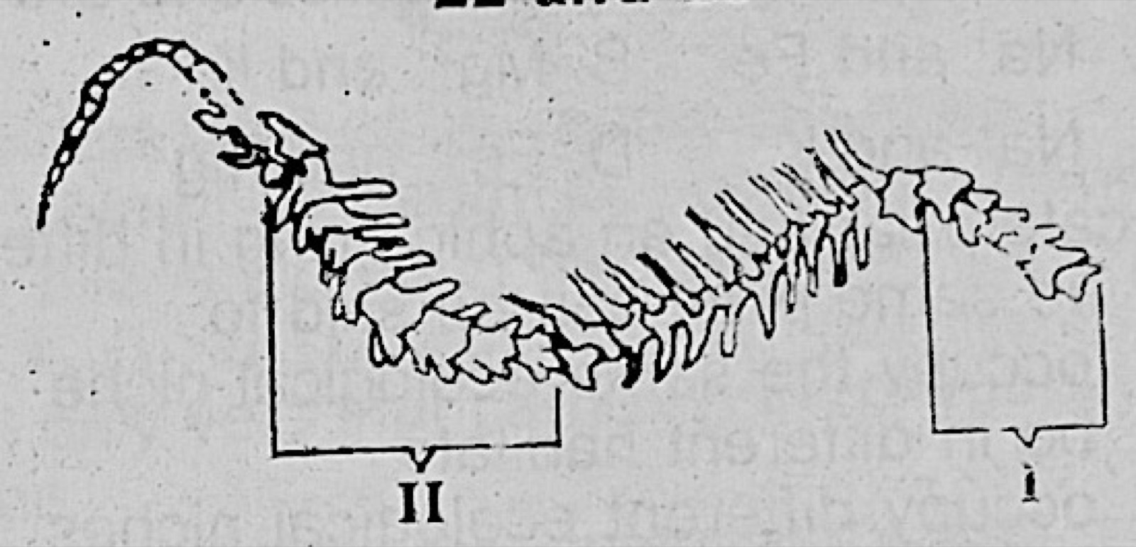 Diagram for this question