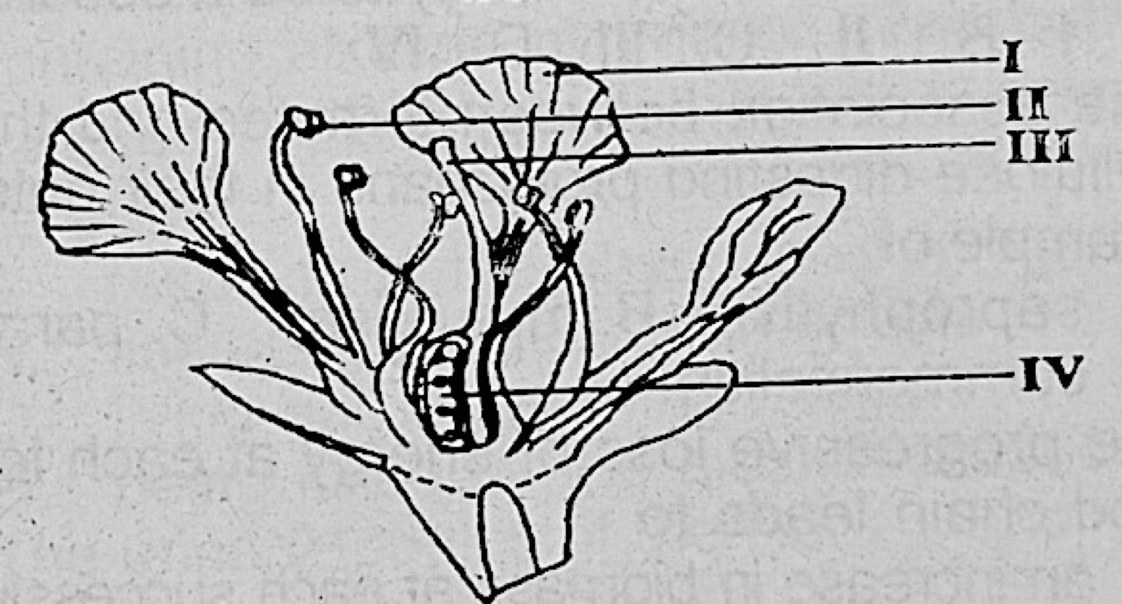 Diagram for this question