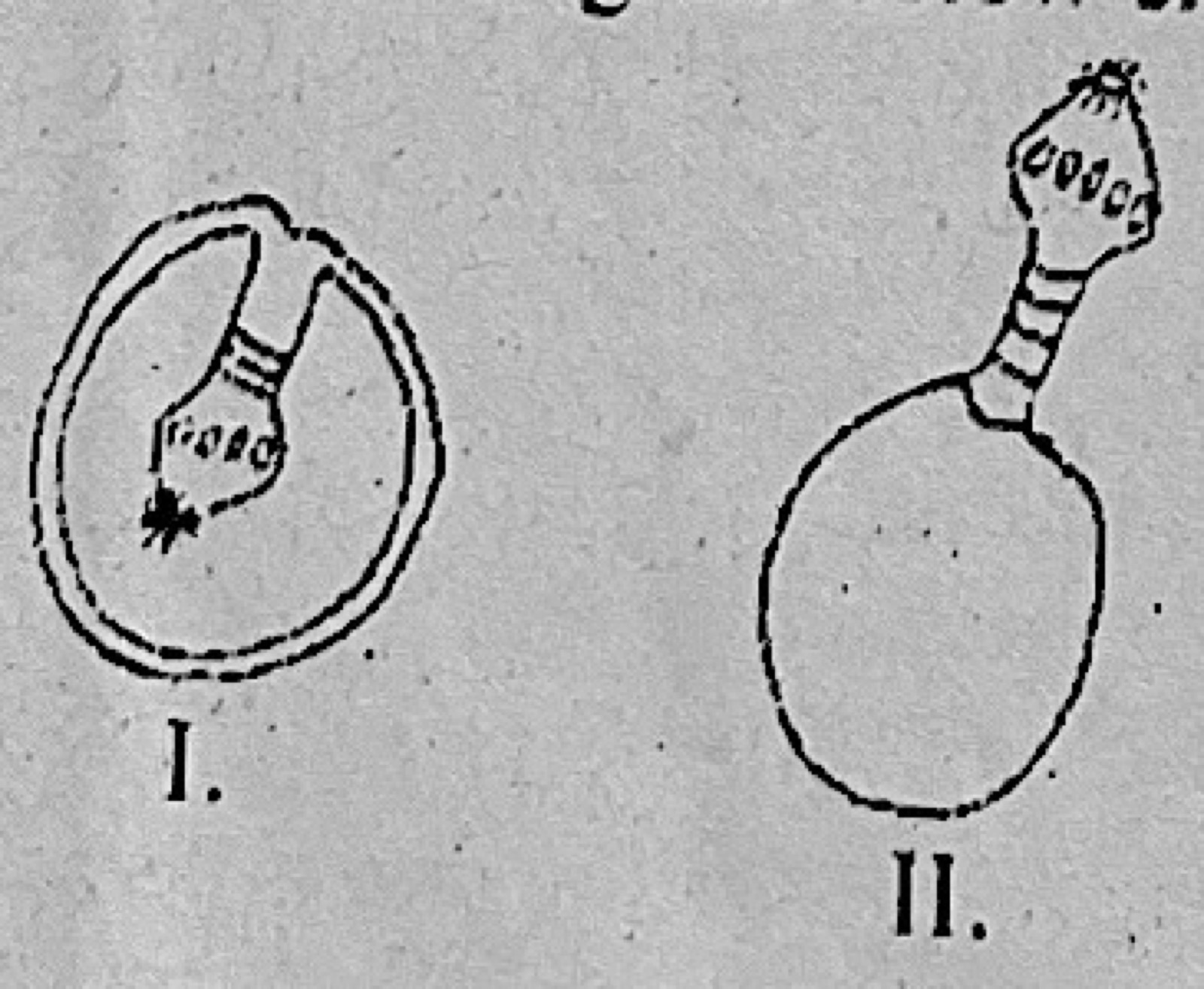 Diagram for this question