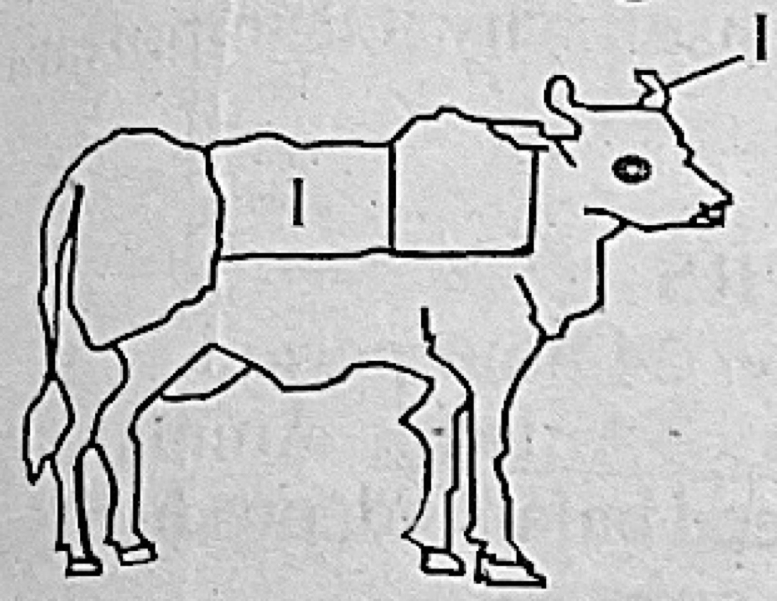 Diagram for this question