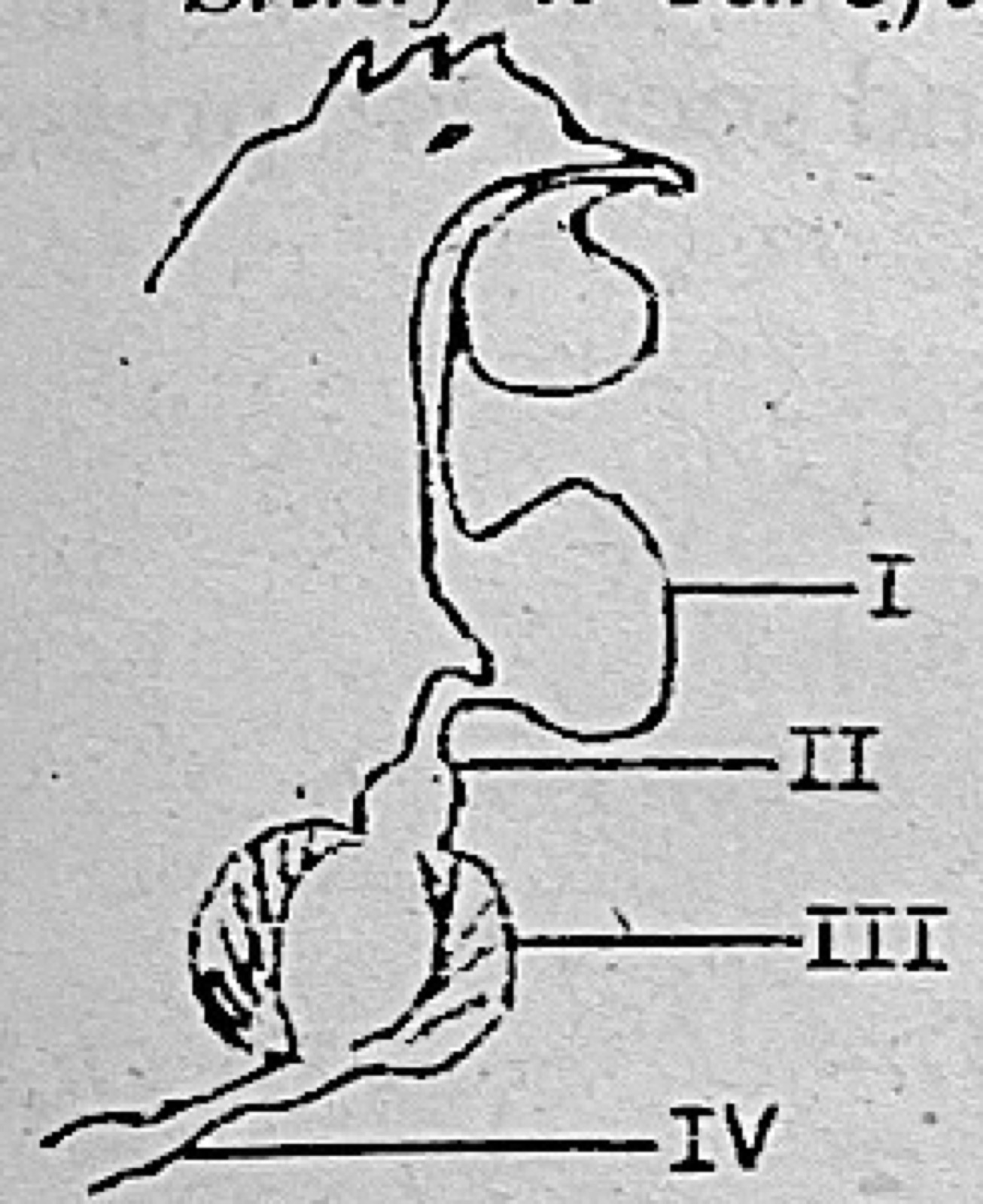 Diagram for this question