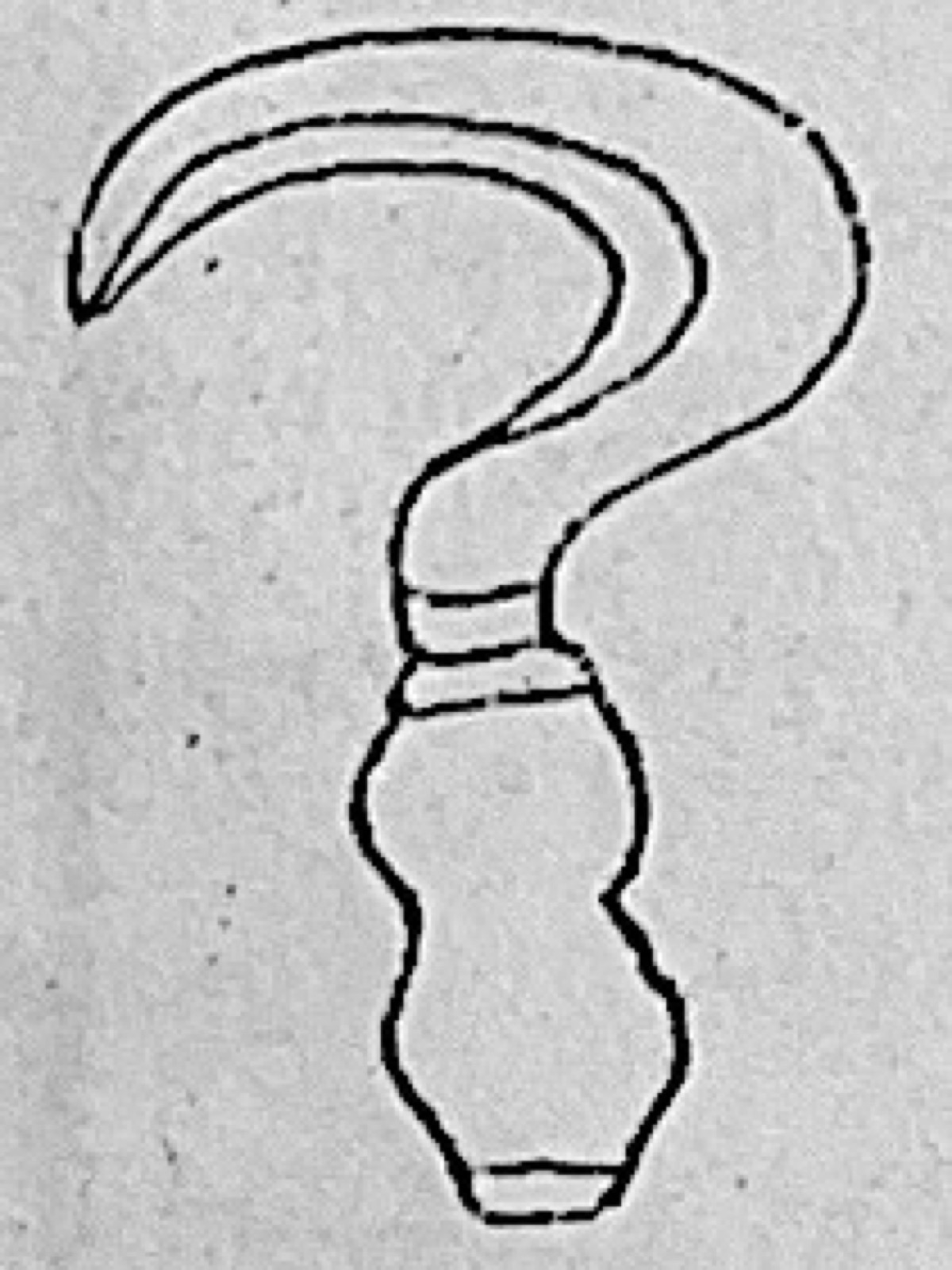 Diagram for this question