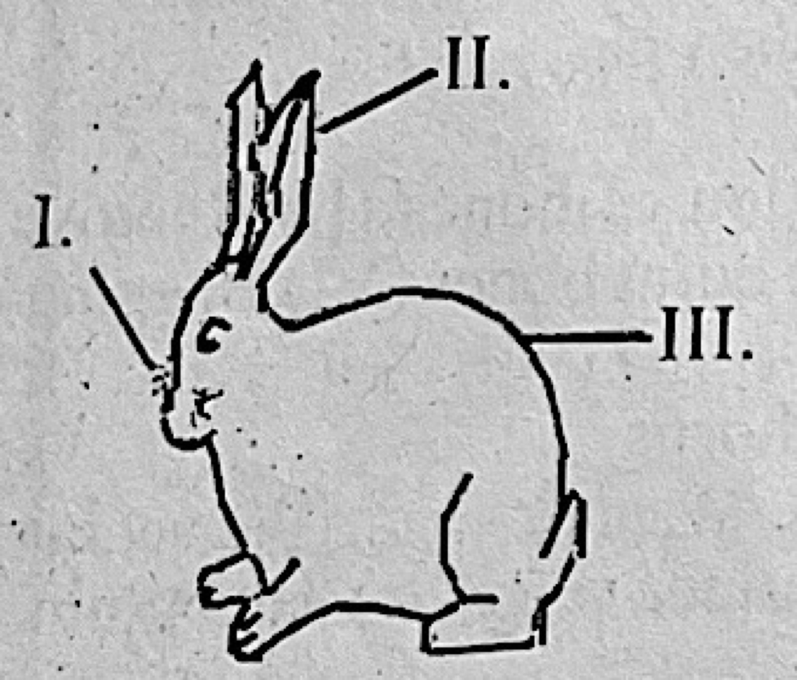 Diagram for this question