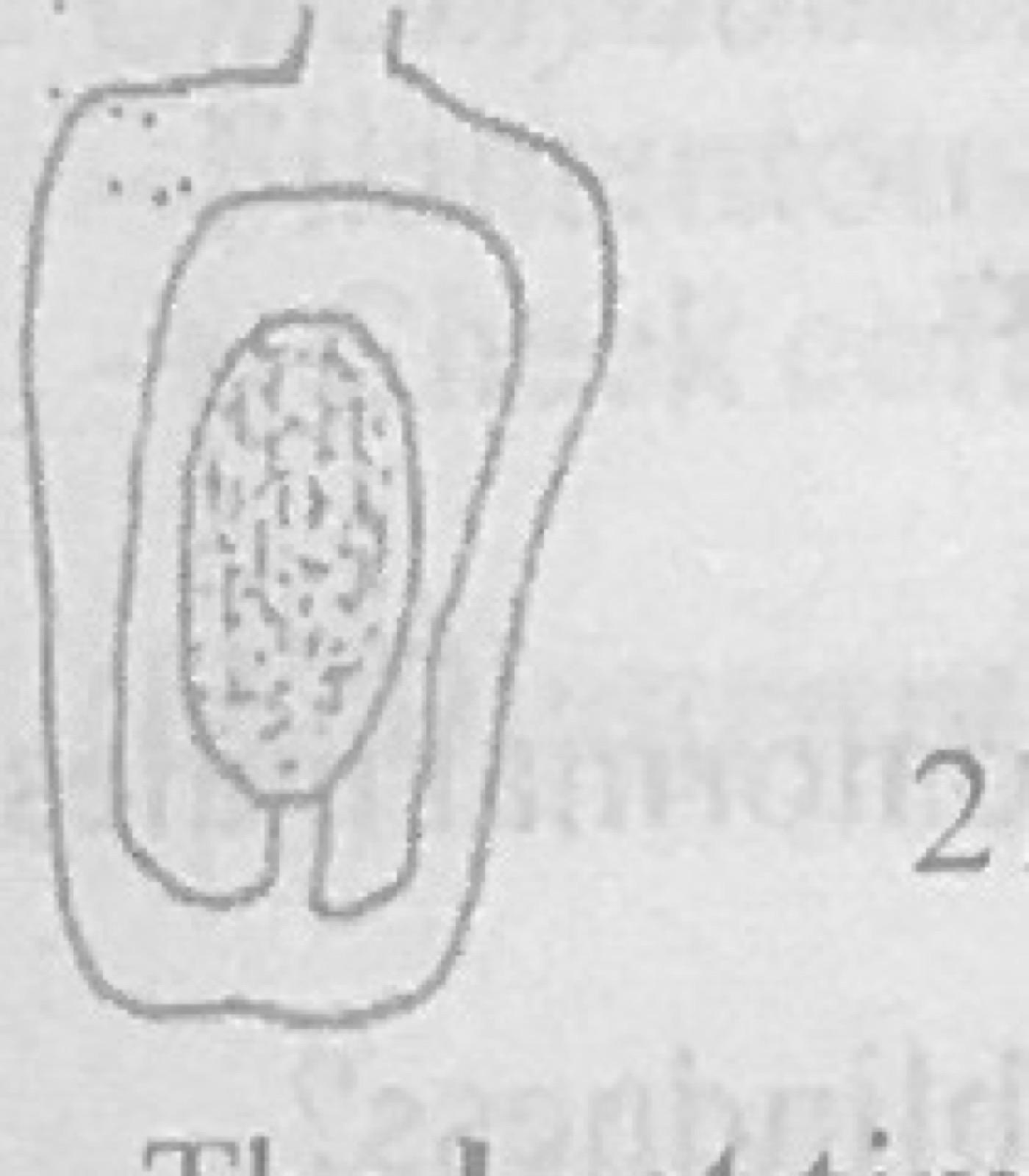 Diagram for this question