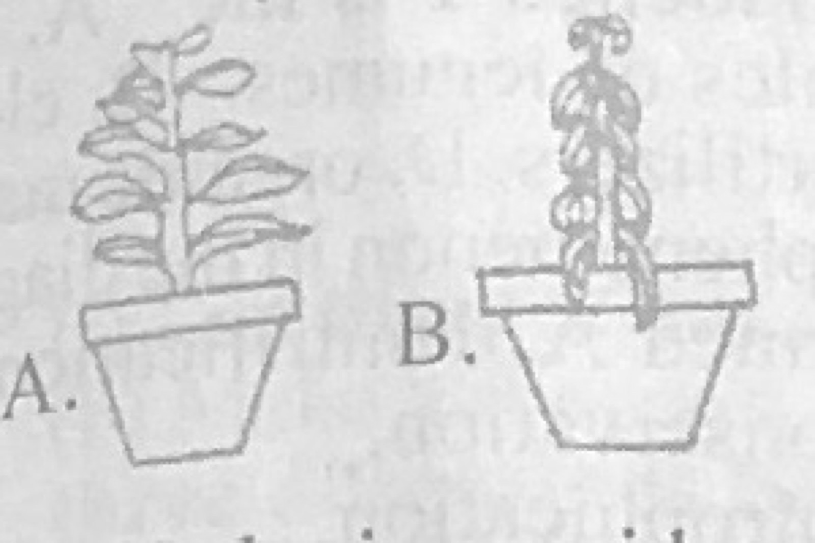 Diagram for this question