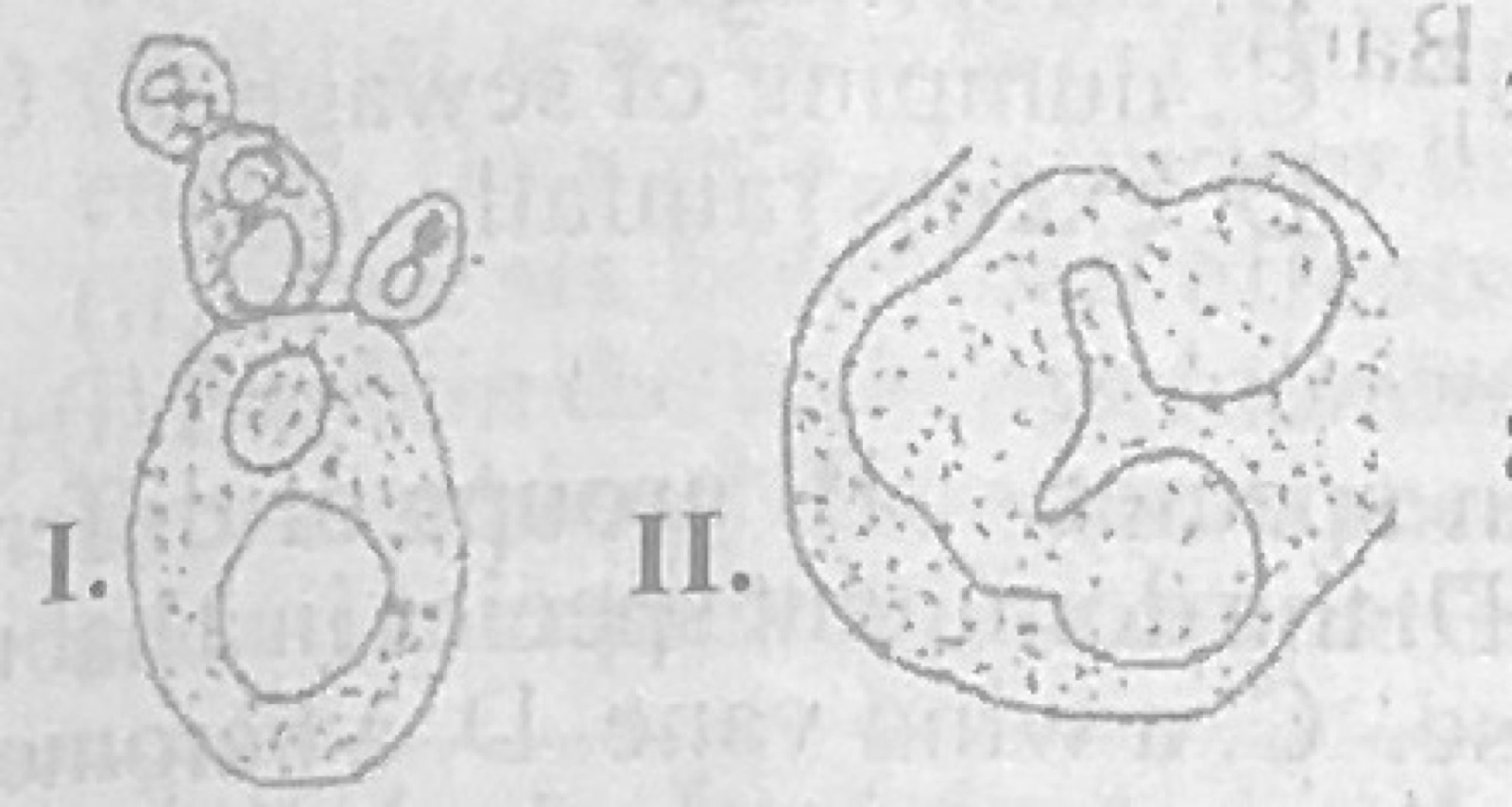 Diagram for this question