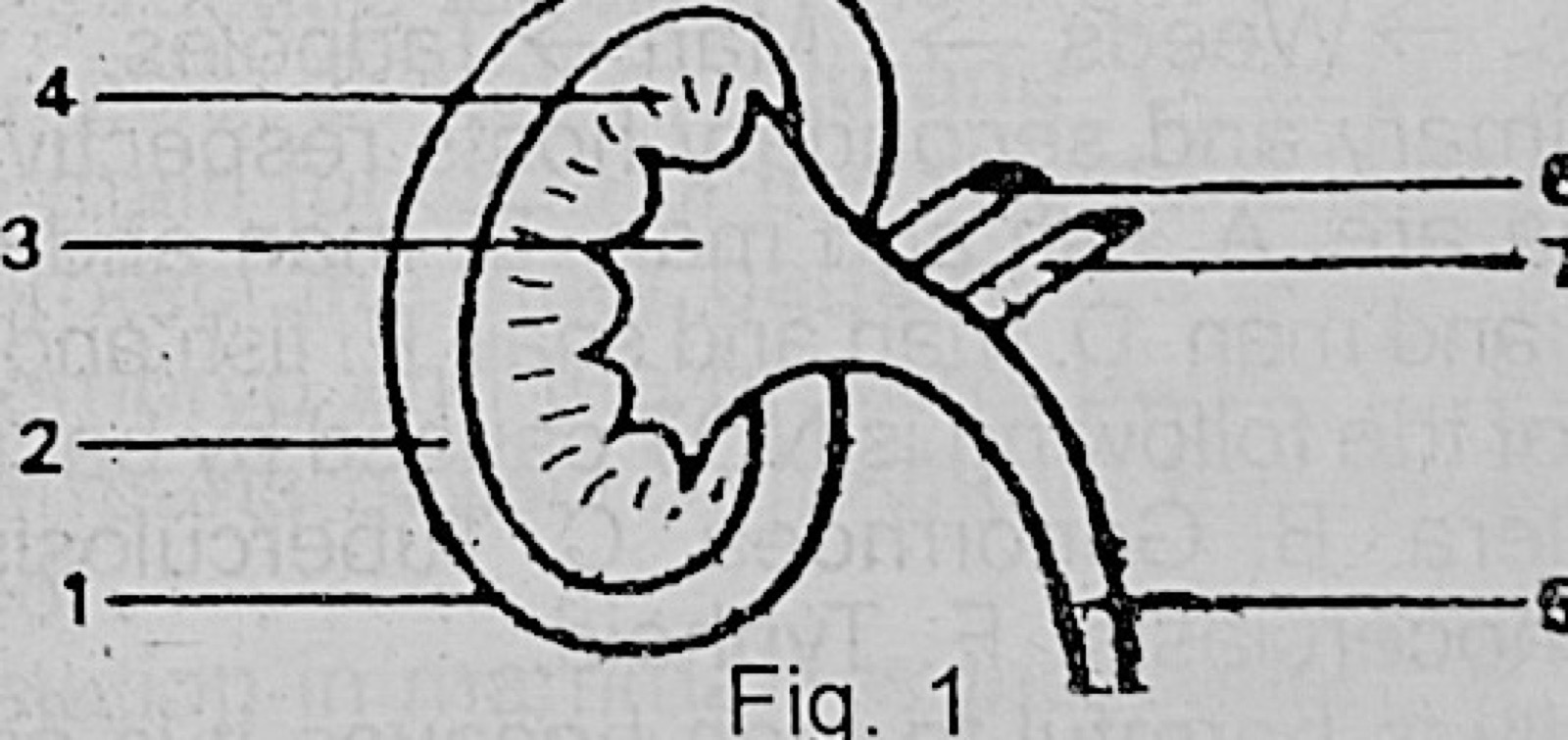 Diagram for this question