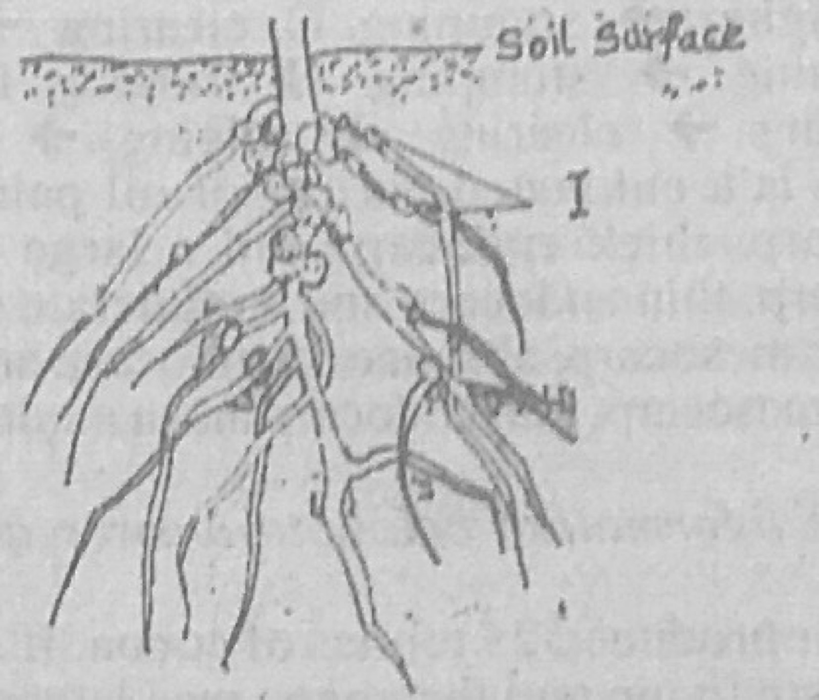 Diagram for this question