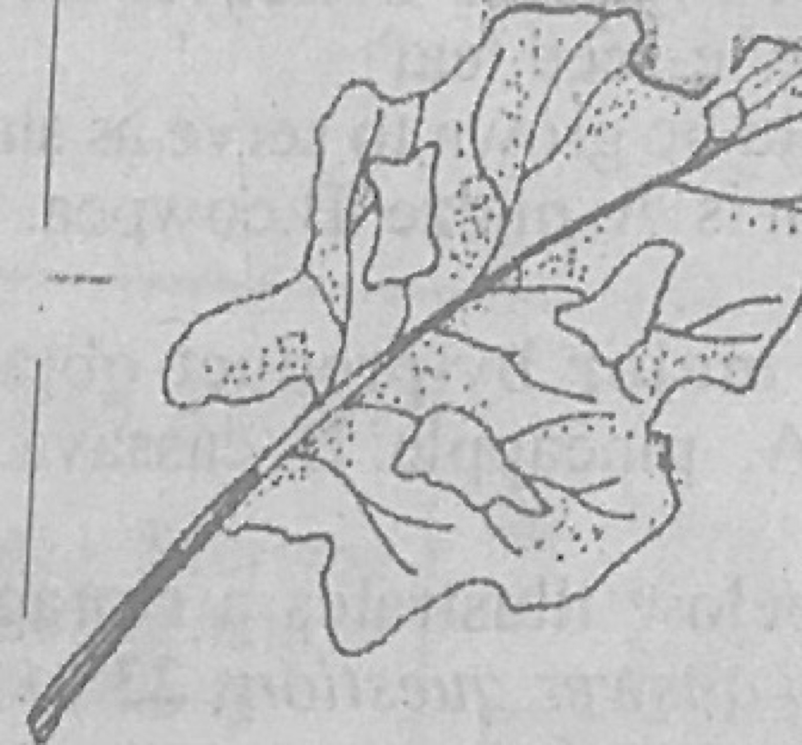 Diagram for this question