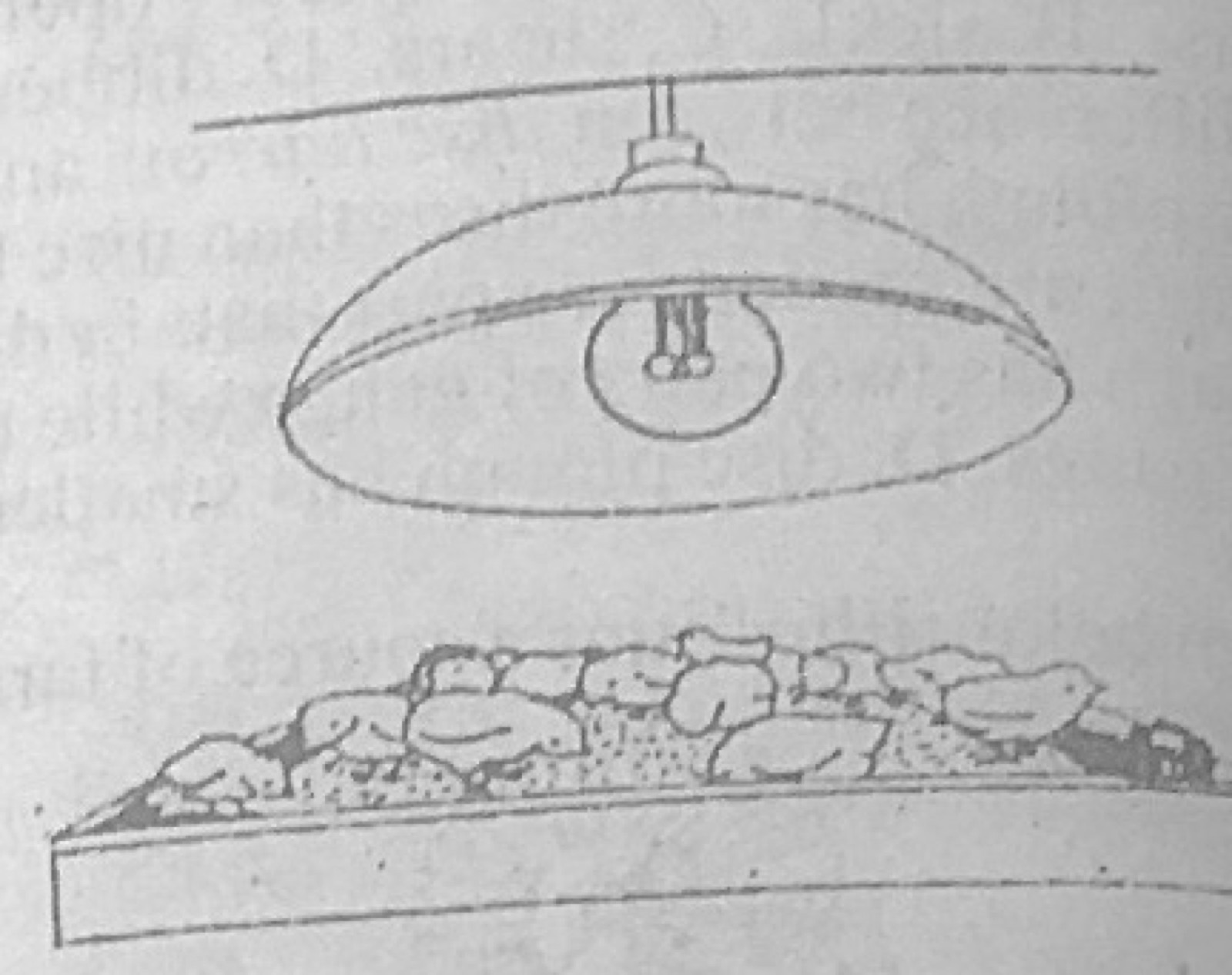 Diagram for this question