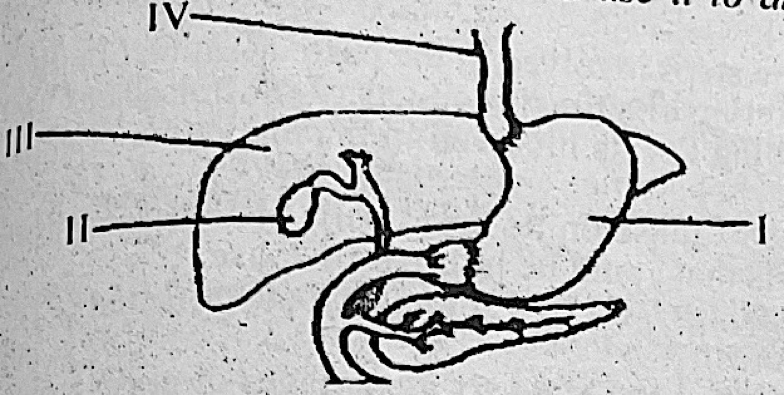 Diagram for this question