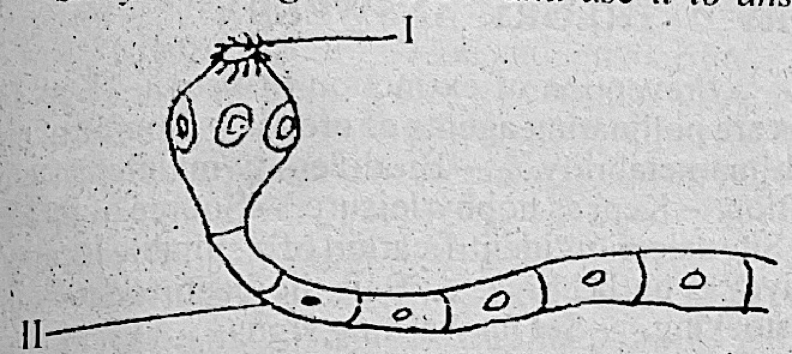 Diagram for this question