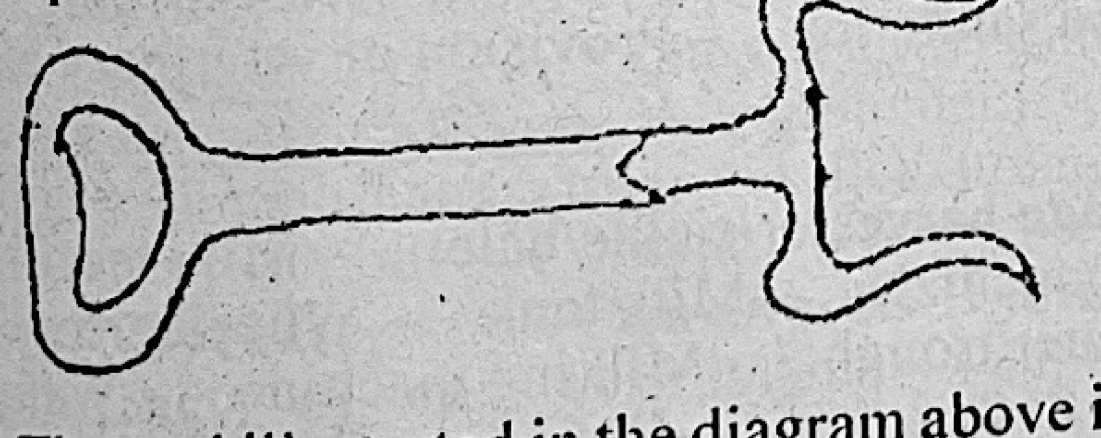 Diagram for this question