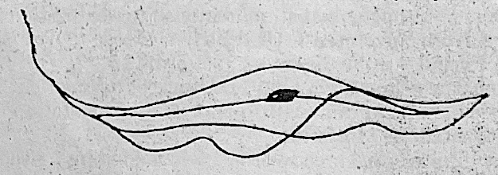 Diagram for this question