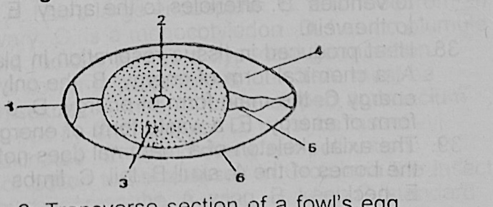 Diagram for this question