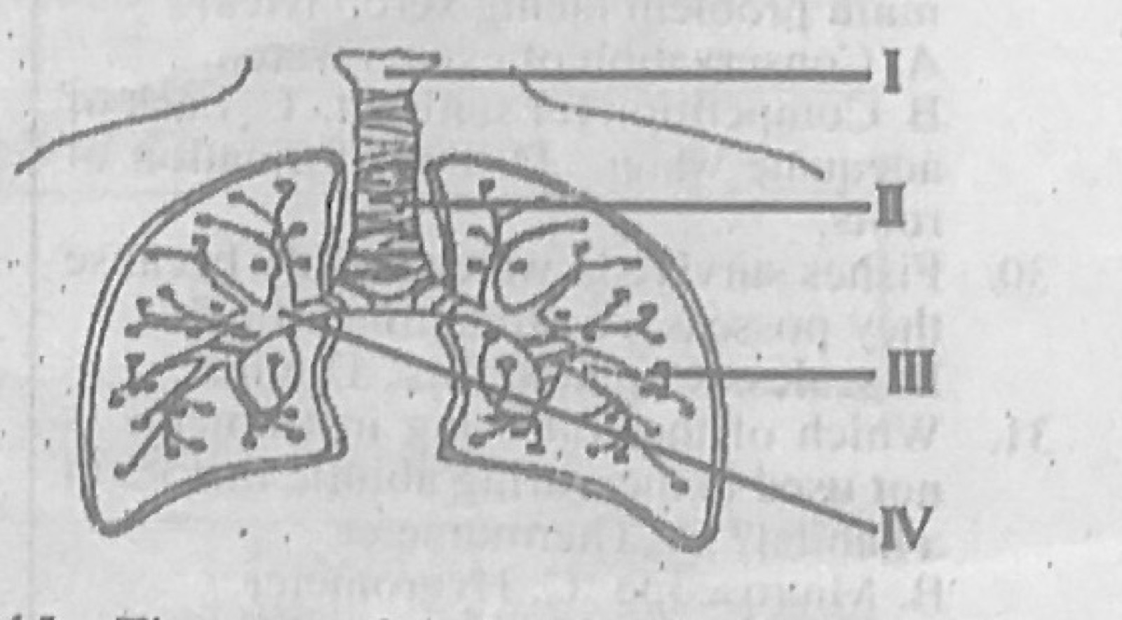 Diagram for this question
