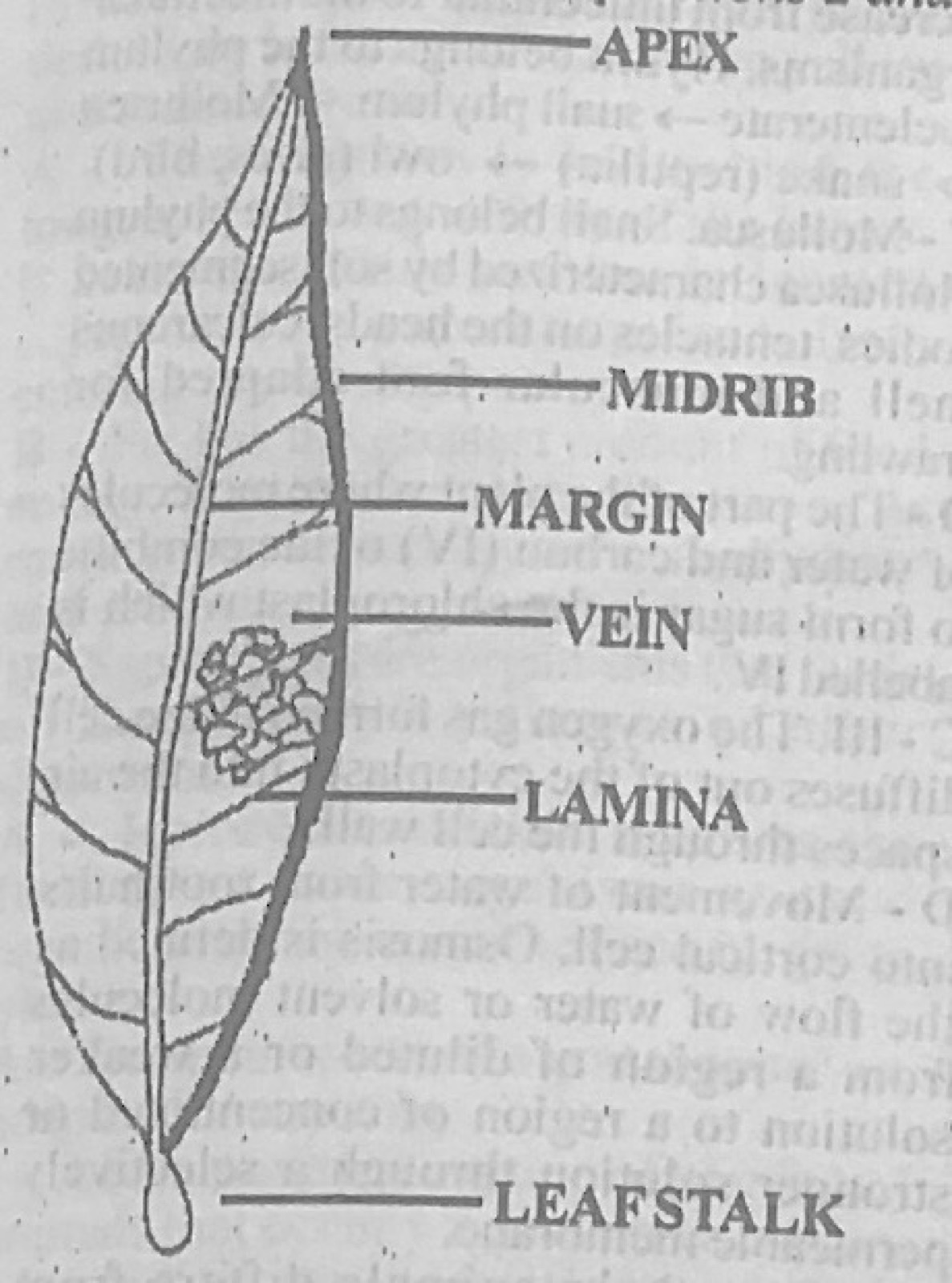 Diagram for this question