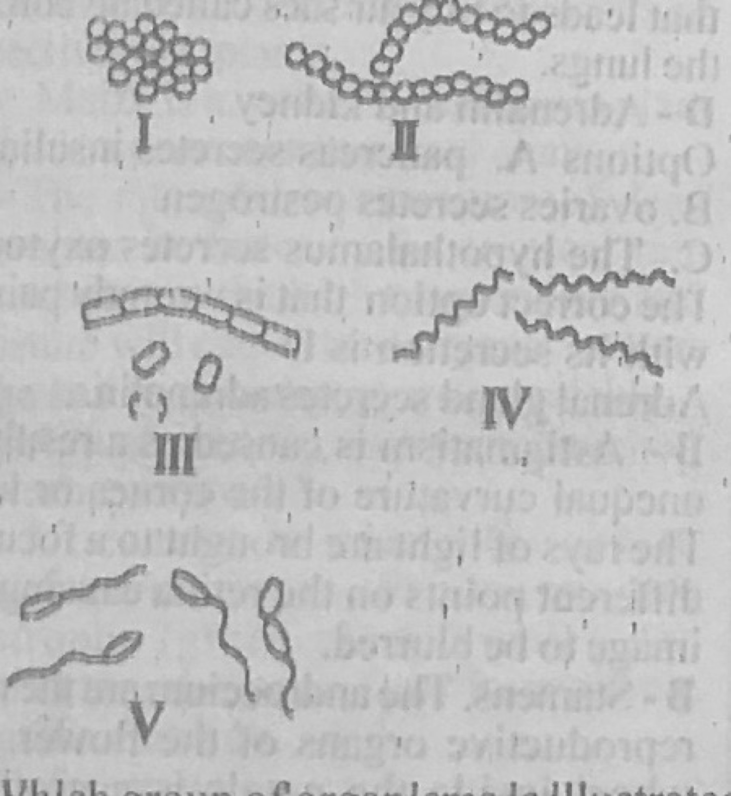 Diagram for this question