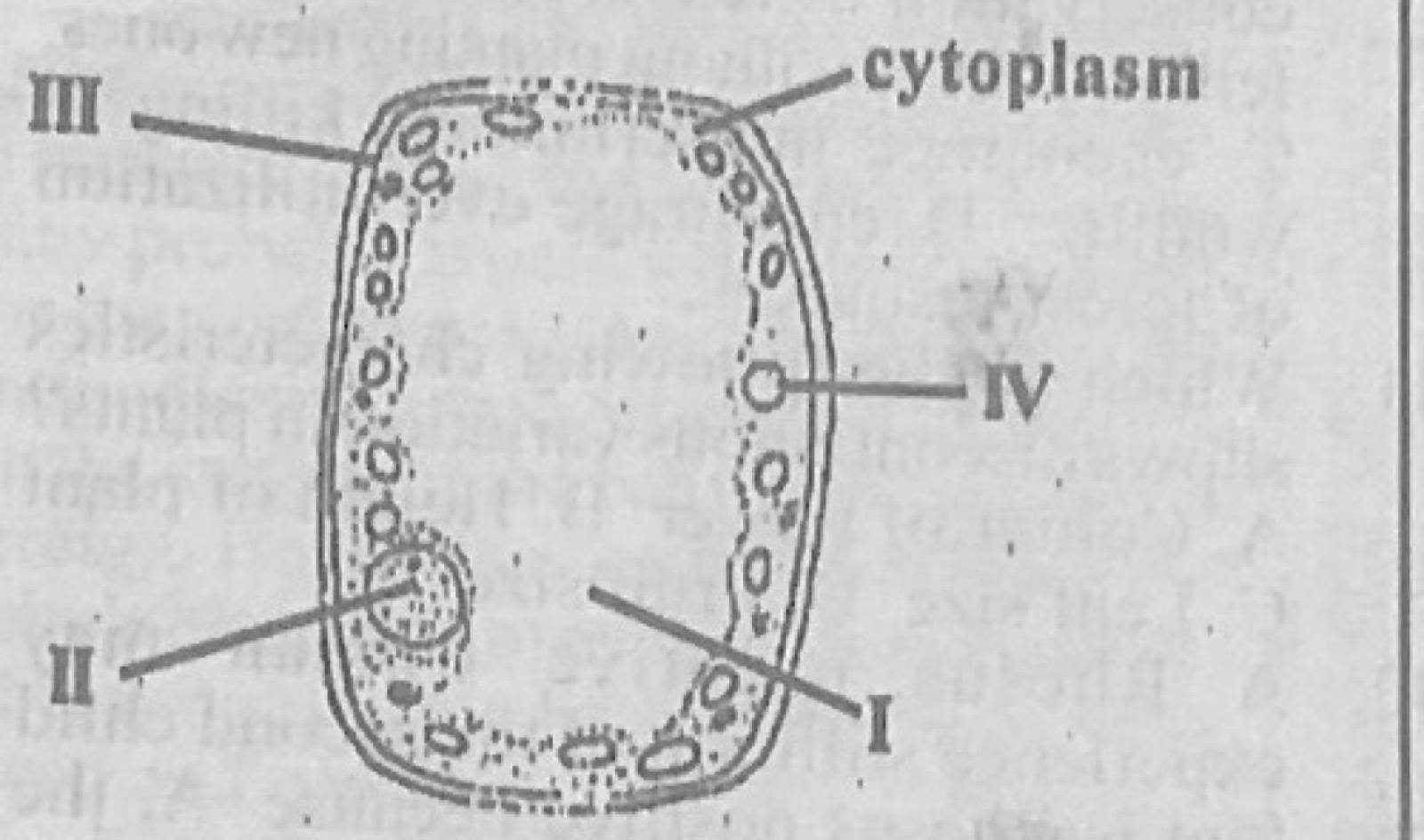 Diagram for this question