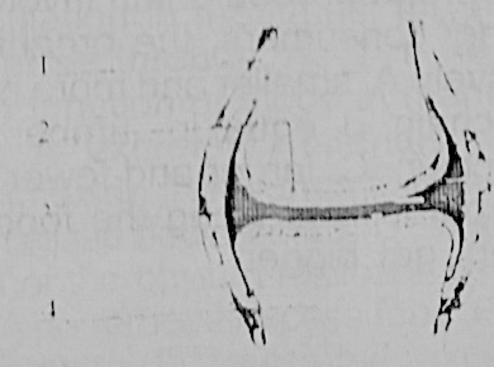 Diagram for this question