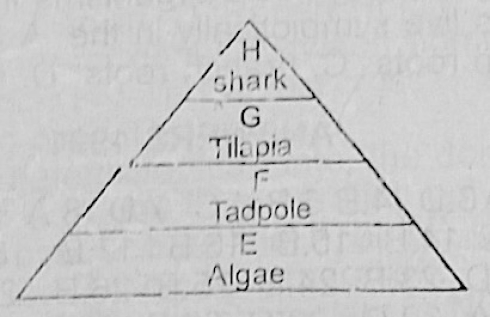 Diagram for this question