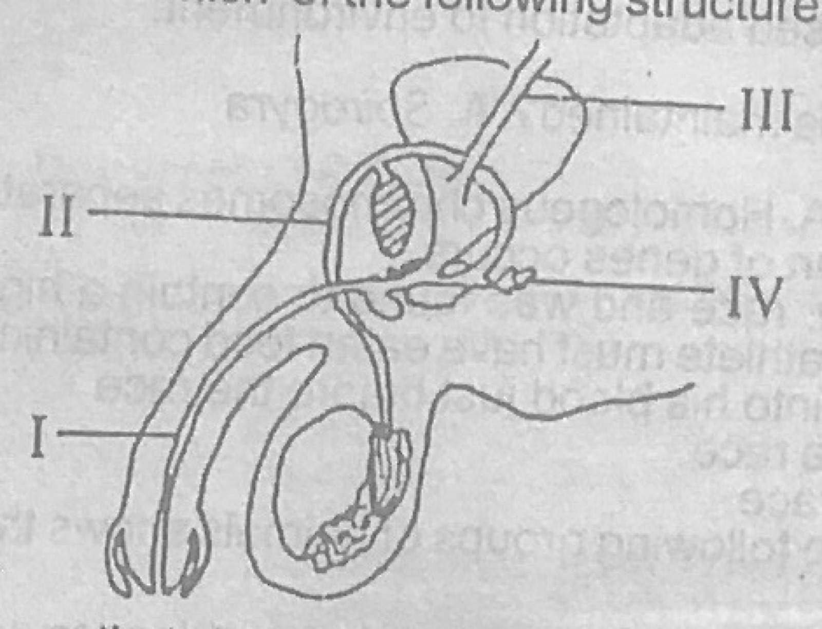 Diagram for this question