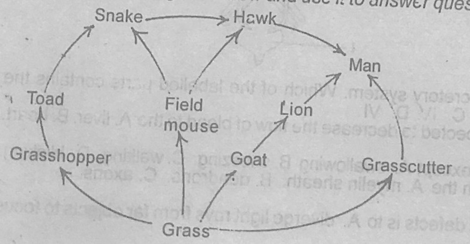 Diagram for this question
