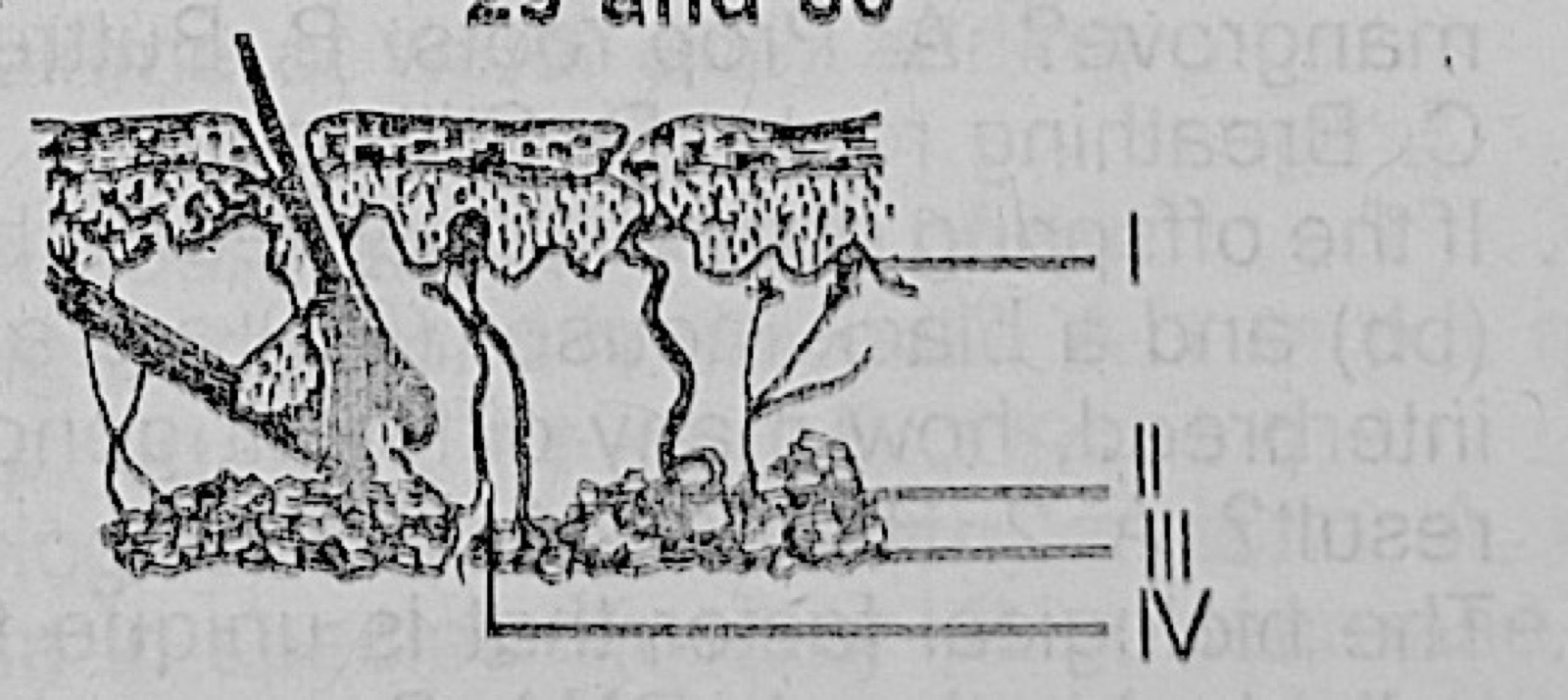 Diagram for this question